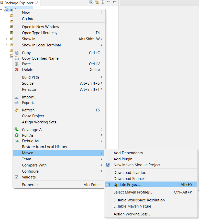 Maven Update